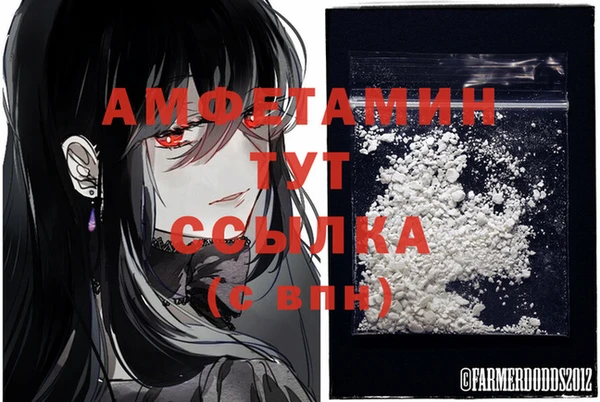 дмт Богданович