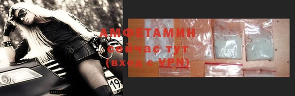 дмт Богданович