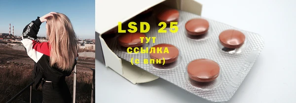 дмт Богданович
