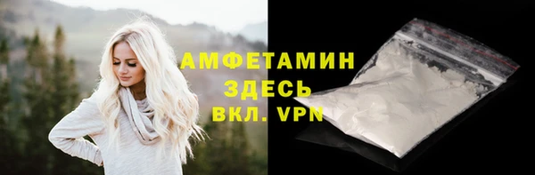 дмт Богданович
