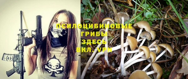 дмт Богданович