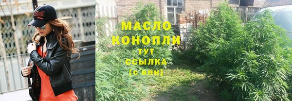 дмт Богданович