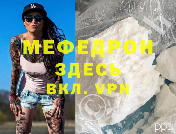 дмт Богданович