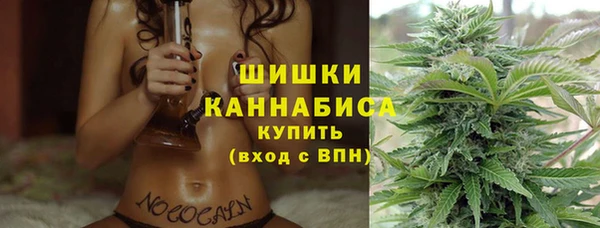 дмт Богданович