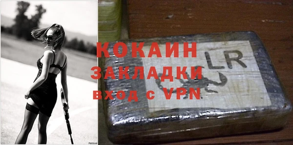 дмт Богданович