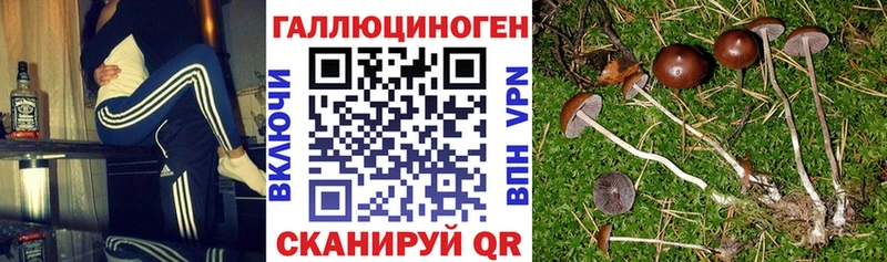 Псилоцибиновые грибы мухоморы  магазин продажи   Горняк 